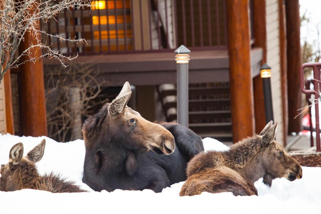 Antlers Villa Steamboat Springs Dış mekan fotoğraf